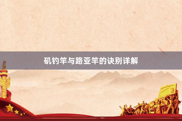 矶钓竿与路亚竿的诀别详解